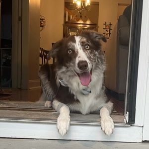 Meet your Posher, Ann